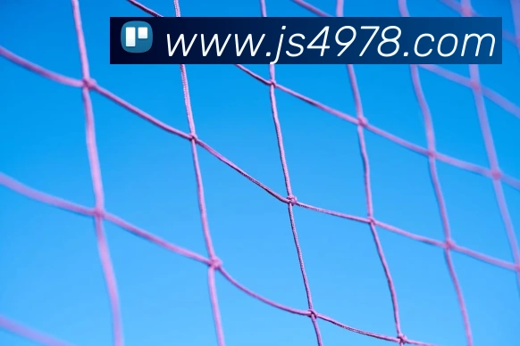 金沙娱乐官方网站品牌故事