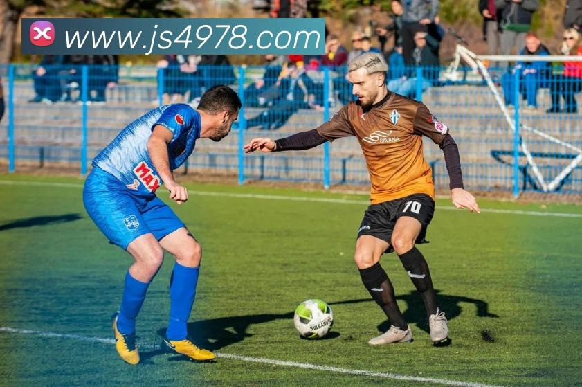 多媒体互动体验